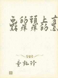 龟的头上有小红点痒痒的怎么回事