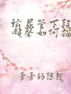 输尿管下段结石超声如何描述