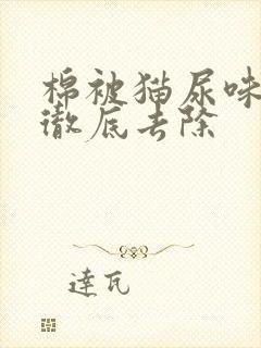 棉被猫尿味怎么彻底去除