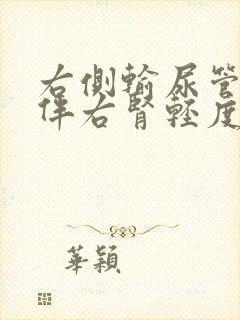 右侧输尿管结石伴右肾轻度积水怎么办