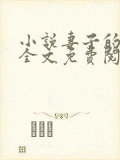 小说妻子的秘密全文免费阅读全文