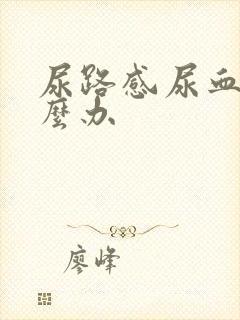 尿路感尿血了怎么办