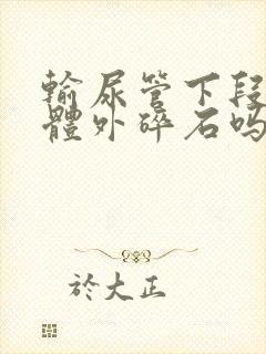 输尿管下段结石体外碎石吗