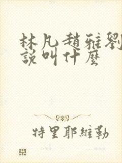 林凡赵雅刘菲小说叫什么