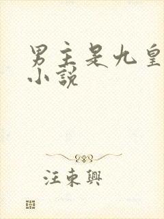 男主是九皇叔的小说