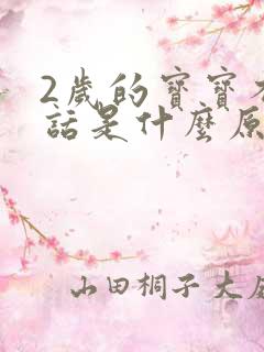 2岁的宝宝不说话是什么原因