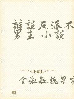 谁说反派不能当男主 小说