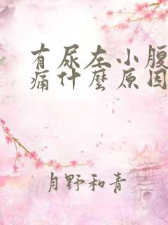 有尿左小腹就胀痛什么原因引起的