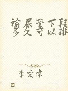 输尿管下段结石多久可以排出