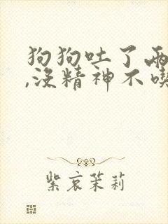 狗狗吐了两天了,没精神不吃东西