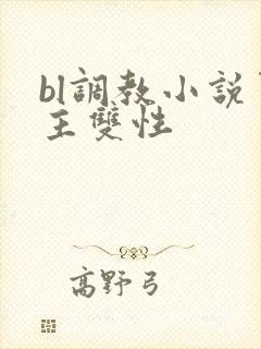 bl调教小说男主双性
