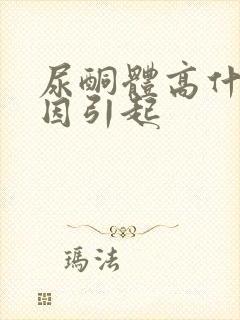 尿酮体高什么原因引起