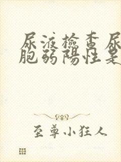 尿液检查尿白细胞弱阳性是什么意思