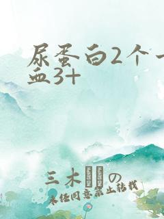 尿蛋白2个十隐血3+