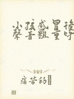 小孩感冒后呼吸声音粗重呼哧呼哧的