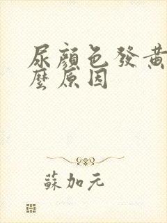 尿颜色发黄是什么原因