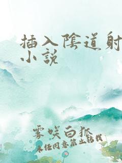 插入阴道射进去小说