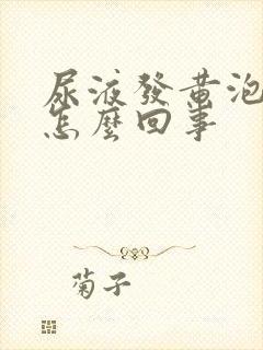 尿液发黄泡沫是怎么回事