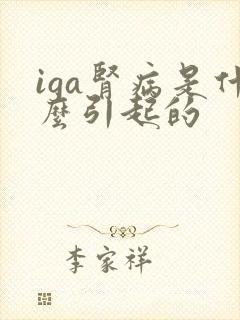 iga肾病是什么引起的