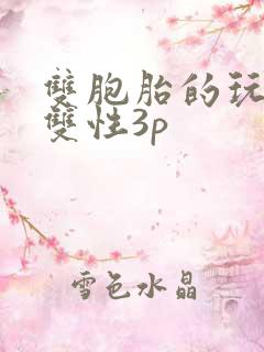 双胞胎的玩物(双性3p