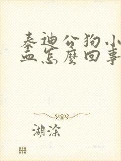 泰迪公狗小便有血怎么回事