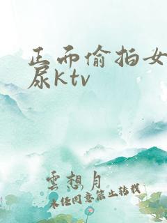 正面偷拍女厕撒尿ktv