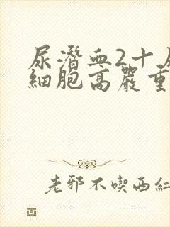 尿潜血2十尿红细胞高严重吗