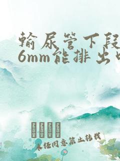 输尿管下段结石6mm能排出吗