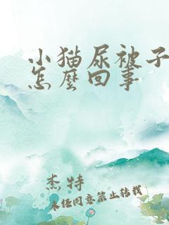 小猫尿被子上是怎么回事