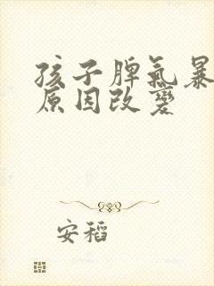 孩子脾气暴躁的原因改变