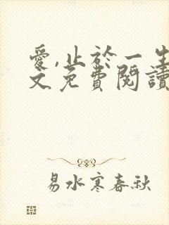 爱,止于一生全文免费阅读大结局免