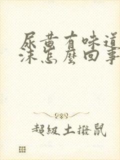 尿黄有味道有泡沫怎么回事