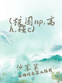(校园np,高h,强c)