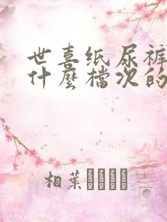 世喜纸尿裤属于什么档次的品牌