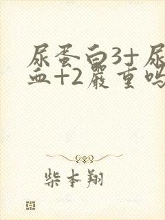 尿蛋白3+尿潜血+2严重吗
