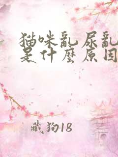 猫咪乱尿乱拉屎是什么原因