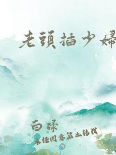 老头插少妇小说