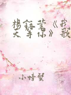 杨钰莹《我在春天等你》歌词