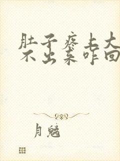 肚子疼上大厕上不出来咋回事