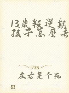 13岁叛逆期的孩子怎么去引导