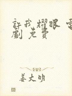 许我耀眼 电视剧 免费