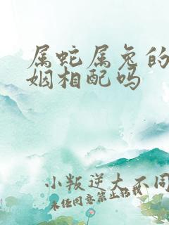 属蛇属兔的人婚姻相配吗