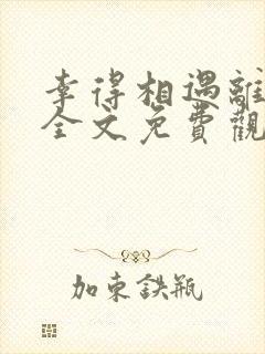 幸得相遇离婚时全文免费观看