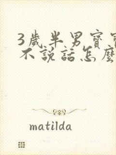 3岁半男宝宝还不说话怎么办