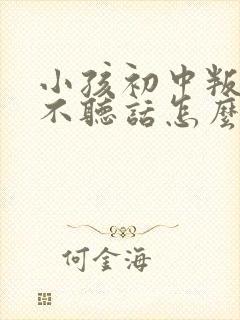 小孩初中叛逆期不听话怎么教