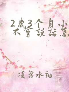 2岁3个月小孩不会说话怎么办