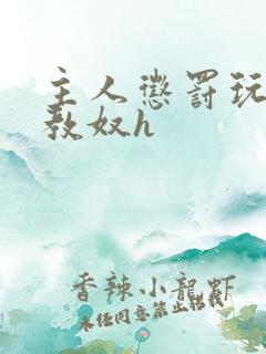 主人惩罚玩弄调教奴h