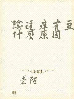 阴道痒有豆腐渣什么原因