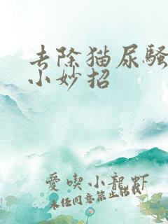 去除猫尿骚味的小妙招