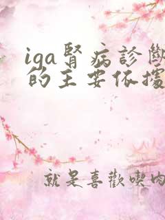 iga肾病诊断的主要依据是什么